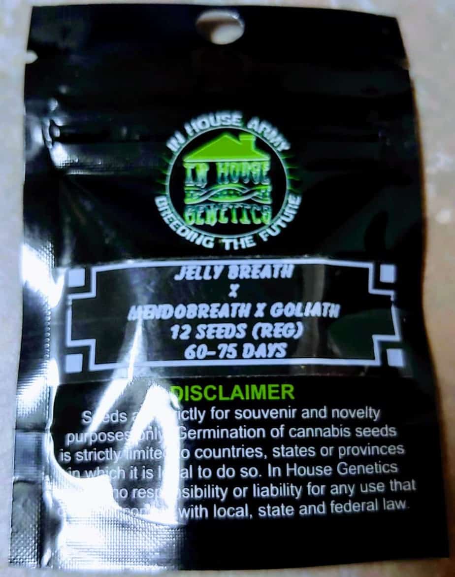 In House Jelly Breath BX1 Luscious