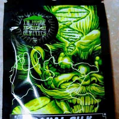 InHouseGenetics_RoyalSilk_Luscious_Genetics_Front