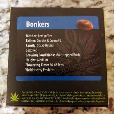 Exotic Genetix Bonkers