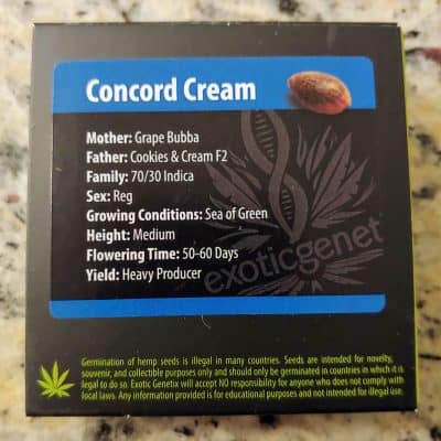 EXOTIC_GENETIX_CONCORD_CREAM_LUSCIOUS_GENETICS