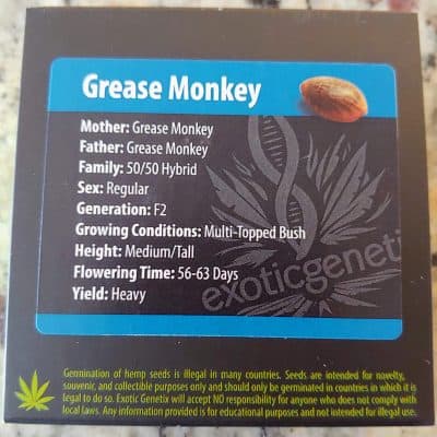 EXOTIC_GENETIX_GREASE_MONKEY_LUSCIOUS_GENETICS