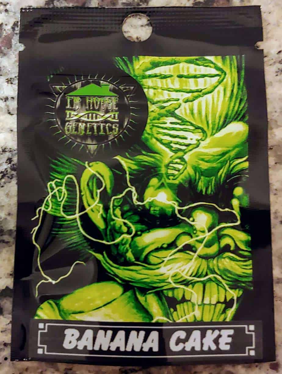 INHOUSE_GENETICS_BANANA_CAKE_LUSCIOUS_GENETICS_FRONT