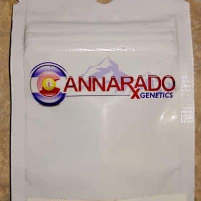 CANNARADO_GENETICS_TRIPLE_WHAMMY_LUSCIOUS_GENETICS_FRONT
