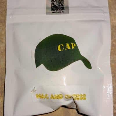 CAPULATOR_MAC_AND_CHEESE_LUSCIOUS_GENETICS_402510LR