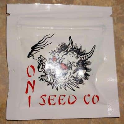 ONI_SEED_CO_TROPICANA_F2_LUSCIOUS_GENETICS_FRONT