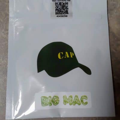 Capulator_BIG_MAC_Luscious_Genetics