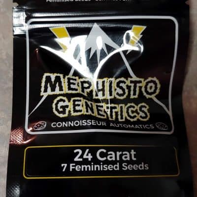 MEPHISTO_GENETICS_24_CARAT_LUSCIOUS_GENETICS_FRONT