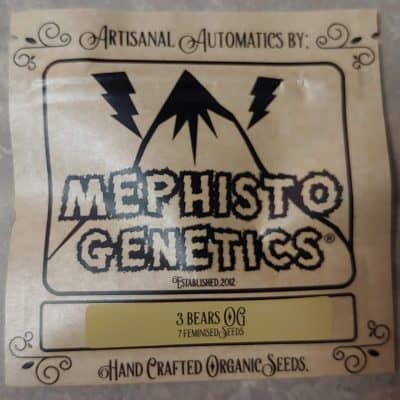 MEPHISTO_GENETICS_3_BEARS_OG_LUSCIOUS_GENETICS_FRONT
