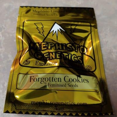 MEPHISTO_GENETICS_FORGOTTEN_COOKIES_LUSCIOUS_GENETICS_FRONT