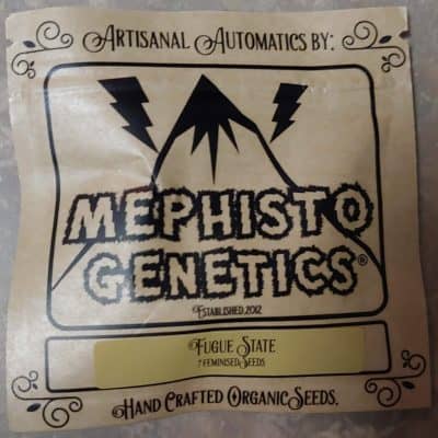 Mephisto Genetics