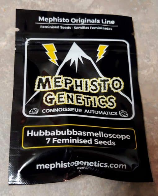 MEPHISTO_GENETICS_HUBBABUBBASMELLOSCOPE_LUSCIOUS_GENETICS_FRONT