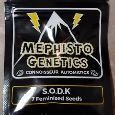 MEPHISTO_GENETICS_SODK_LUSCIOUS_GENETICS_FRONT