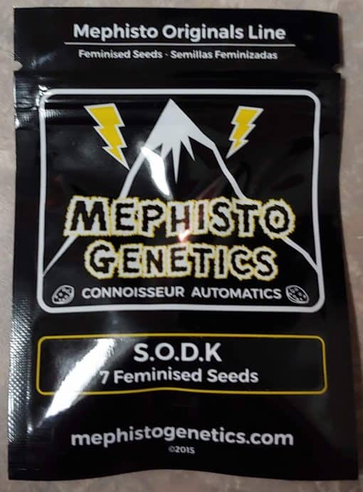 MEPHISTO_GENETICS_SODK_LUSCIOUS_GENETICS_FRONT