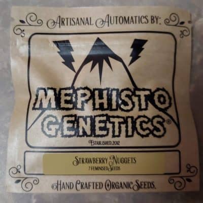 MEPHISTO_GENETICS_STRAWBERRY_NUGGETS_LUSCIOUS_GENETICS_FRONT