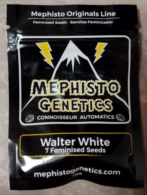 MEPHISTO_GENETICS_WALTER_WHITE_LUSCIOUS_GENETICS_FRONT