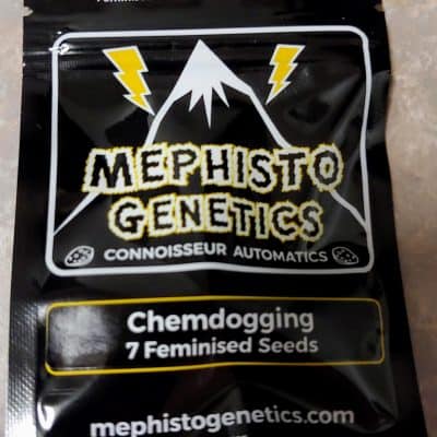 MEPHISTO_GENETICS_CHEMDOGGING_LUSCIOUS_GENETICS_FRONT