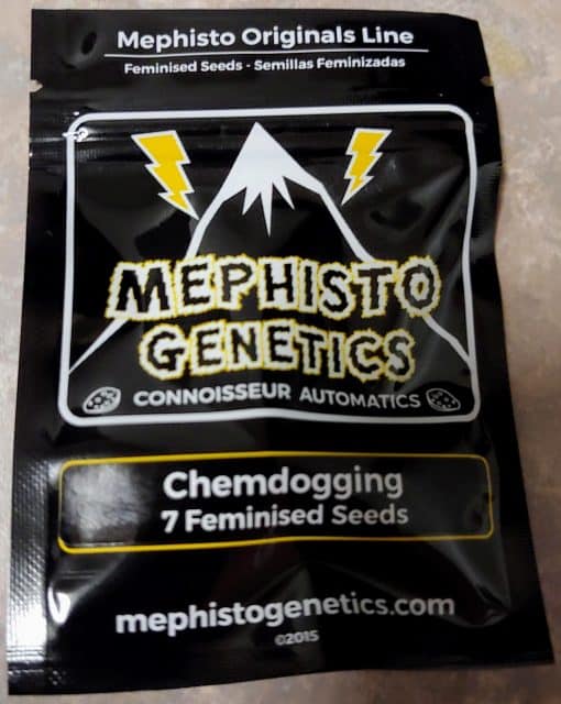 MEPHISTO_GENETICS_CHEMDOGGING_LUSCIOUS_GENETICS_FRONT