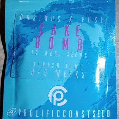 PROLIFIC_COAST_SEEDS_CAKE_BOMB_LUSCIOUS_GENETICS