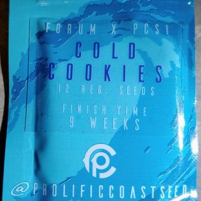 PROLIFIC_COAST_SEEDS_COLD_COOKIES_LUSCIOUS_GENETICS