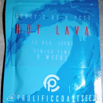 PROLIFIC_COAST_SEEDS_HOT_LAVA_LUSCIOUS_GENETICS