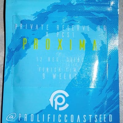 PROLIFIC_COAST_SEEDS_PROXIMA_LUSCIOUS_GENETICS