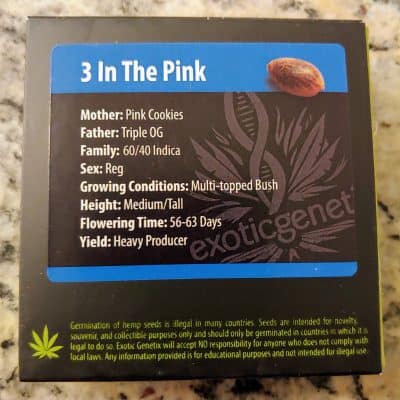 EXOTIC_GENETIX_3_IN_THE_PINK_LUSCIOUS_GENETICS