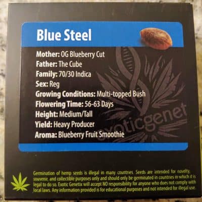 EXOTIC_GENETIX_BLUE_STEEL_LUSCIOUS_GENETICS