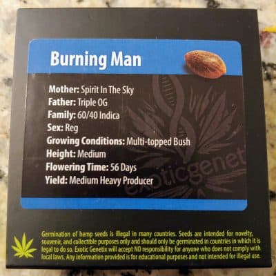 EXOTIC_GENETIX_BURNING_MAN_LUSCIOUS_GENETICS