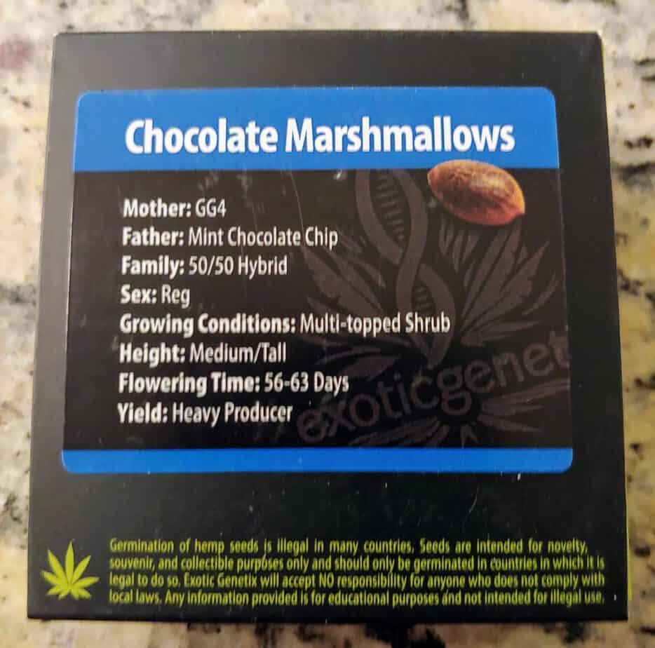 Exotic Chocolate Marshmallows Luscious