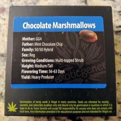 EXOTIC_GENETIX_CHOCOLATE_MARSHMALLOWS_LUSCIOUS_GENETICS