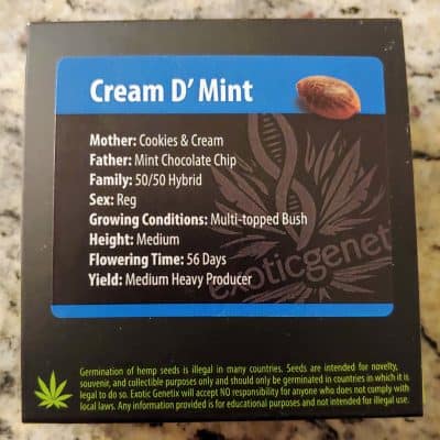 EXOTIC_GENETIX_CREAM_D_MINT_LUSCIOUS_GENETICS