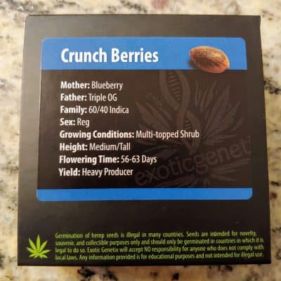 EXOTIC_GENETIX_CRUNCH_BERRIES_LUSCIOUS_GENETICS
