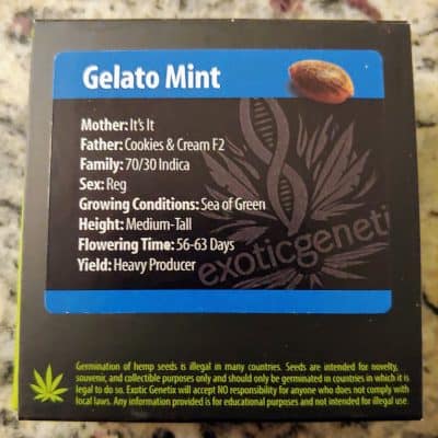 EXOTIC_GENETIX_GELATO_MINT_LUSCIOUS_GENETICS