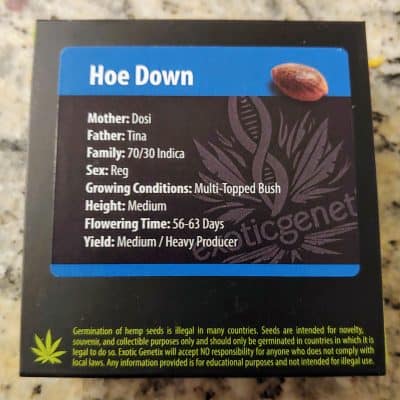EXOTIC_GENETIX_HOE_DOWN_LUSCIOUS_GENETICS