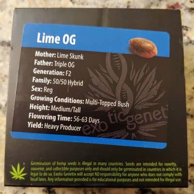 EXOTIC_GENETIX_LIME_OG_LUSCIOUS_GENETICS