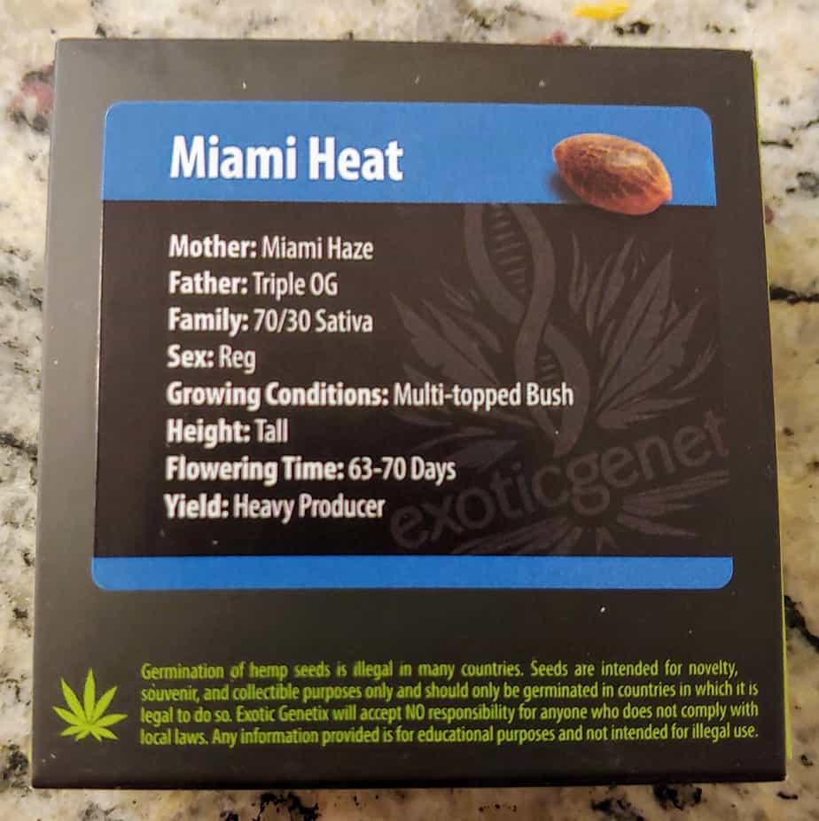 EXOTIC_GENETIX_MIAMI_HEAT_LUSCIOUS_GENETICS