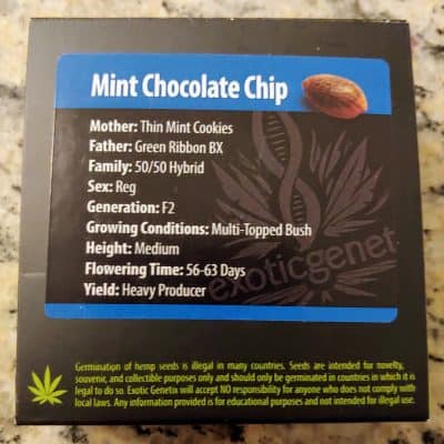 EXOTIC_GENETIX_MINT_CHOCOLATE_CHIP_LUSCIOUS_GENETICS