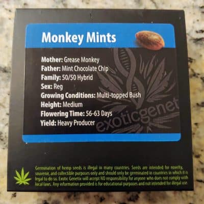 EXOTIC_GENETIX_MONKEY_MINTS_LUSCIOUS_GENETICS