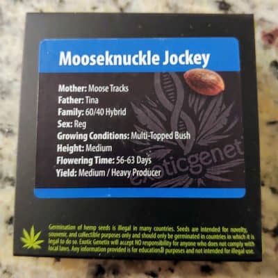 EXOTIC_GENETIX_MOOSEKNUCKLE_JOCKEY_LUSCIOUS_GENETICS
