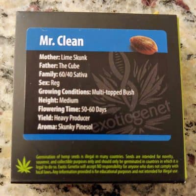 EXOTIC_GENETIX_MR_CLEAN_LUSCIOUS_GENETICS