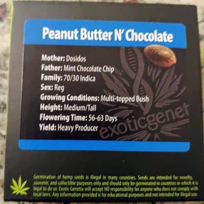 EXOTIC_GENETIX_PEANUT_BUTTER_N_CHOCOLATE_LUSCIOUS_GENETICS
