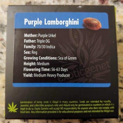 EXOTIC_GENETIX_PURPLE_LAMBORGHINI_LUSCIOUS_GENETICS