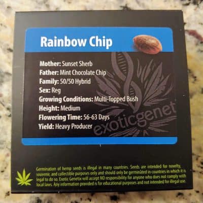 EXOTIC_GENETIX_RAINBOW_CHIP_LUSCIOUS_GENETICS