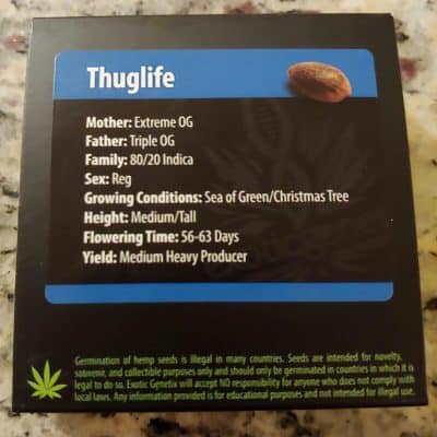 EXOTIC_GENETIX_THUGLIFE_LUSCIOUS_GENETICS