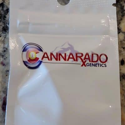 CANNARADO_GENETICS_7_SINS_LUSCIOUS_GENETICS