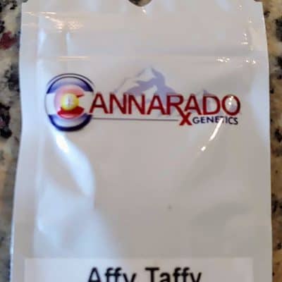 CANNARADO_GENETICS_AFFY_TAFFY_LUSCIOUS_GENETICS