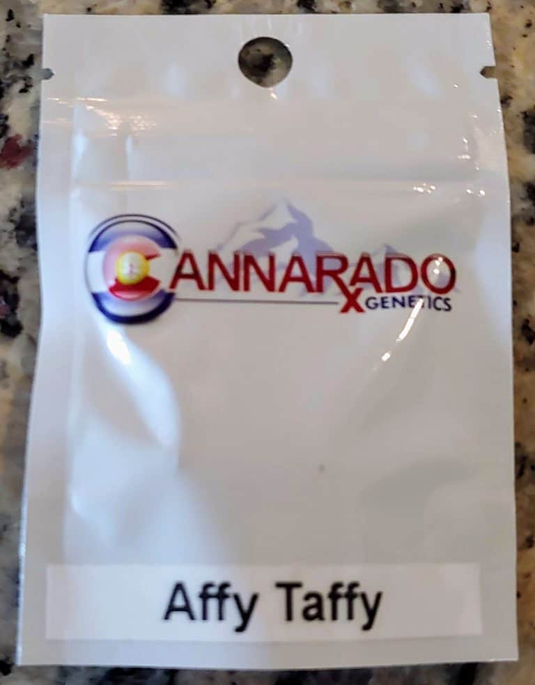 Cannarado Affy Taffy Luscious