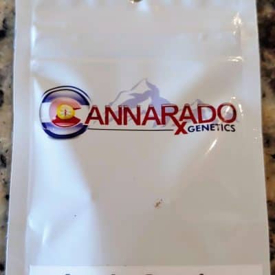 CANNARADO_GENETICS_APPLE_SUNDAE_LUSCIOUS_GENETICS