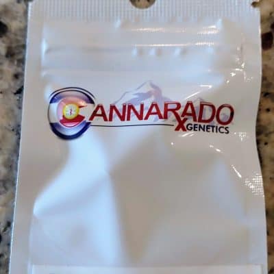 CANNARADO_GENETICS_BIRTHDAY_BANGER_LUSCIOUS_GENETICS