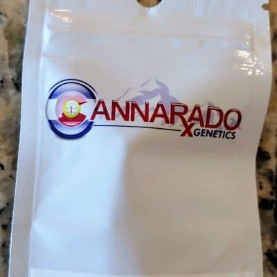 CANNARADO_GENETICS_BIRTHDAY_CAKE_S1_LUSCIOUS_GENETICS